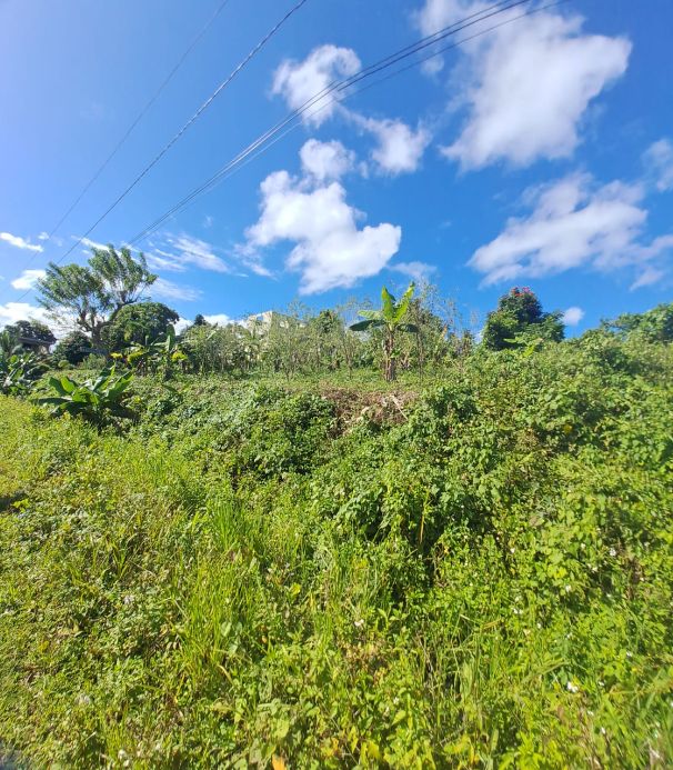 Grundstück in Samana Umland Dominikanische Republik in Albstadt