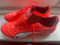 Puma Fussballschuhe 48,5 King Hamburg-Nord - Hamburg Groß Borstel Vorschau