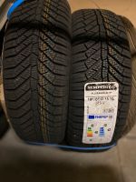 ⭐️ NEU⭐️ 2x Semperit 195/65 R15 95V Ganzjahresreifen Niedersachsen - Neustadt am Rübenberge Vorschau