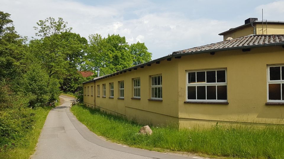 Multifunktionsgelände inkl. Einfamilienhaus, nutzbar wie Resthof in Hessisch Oldendorf