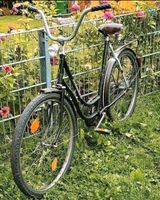 Fahrrad Triumph 26 Zoll Baden-Württemberg - Leimen Vorschau