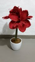 Kunstblume Amaryllis im Keramiktopf Vahr - Neue Vahr Nord Vorschau