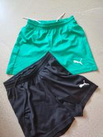 Puma Sportshorts 2 Stück Hannover - Bothfeld-Vahrenheide Vorschau