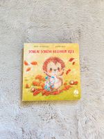 Schlaf schön kleiner Igel Kinderbuch Babybuch Pappbuch Hessen - Hünfeld Vorschau