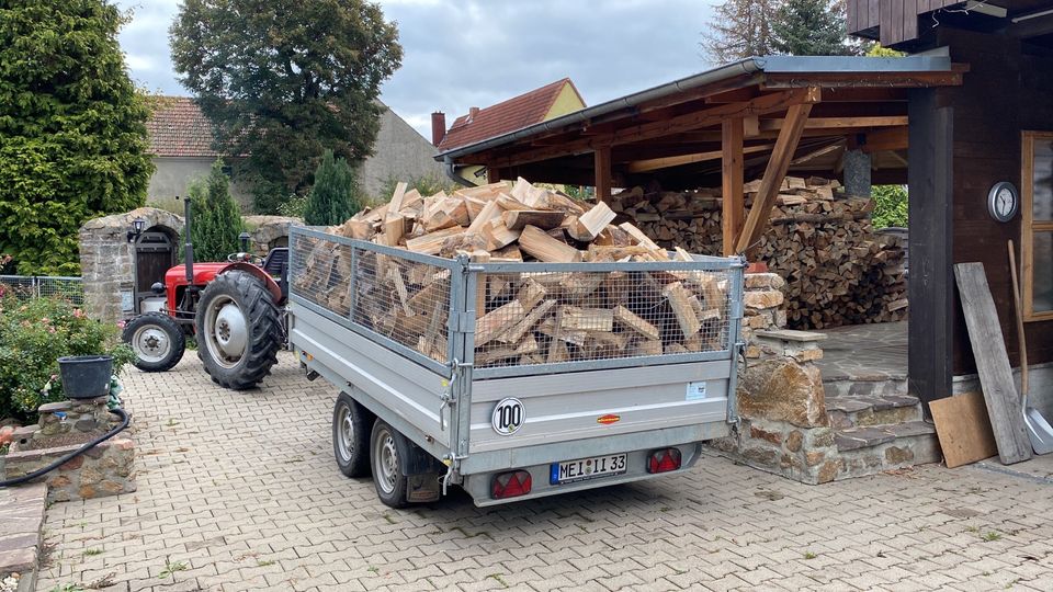 Kaminholz Brennholz Feuerholz Birke 33er Fix&Fertig gespalten in Radeburg