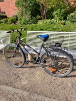 Damenfahrrad Mecklenburg-Vorpommern - Stralsund Vorschau