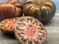 Primora Tomatenpflanzen Bayern - Büchlberg Vorschau