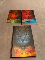 Warrior Cats Staffel 1 Band 1 bis 3 Fantasybuch Hessen - Künzell Vorschau