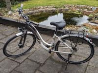 Diamant Damenfahrrad Ubari Legere Rahmengröße 45cm (S) Nordrhein-Westfalen - Hagen Vorschau