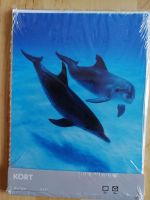 4 Postkarten mit Umschlägen Delfine und Hai Nordrhein-Westfalen - Tönisvorst Vorschau