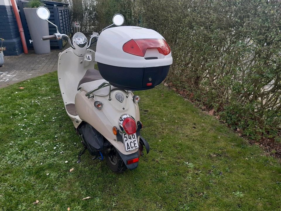 50ccm Roller Sym Mio fashion style in Alsdorf