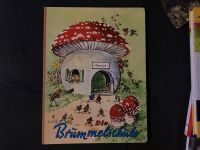 Die Brummelschule | Altes Kinderbuch Köln - Ehrenfeld Vorschau