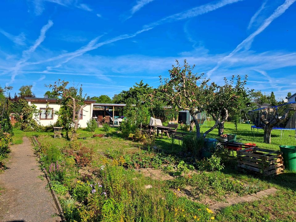 Kleingarten in Dresden-Stetzsch in Dresden