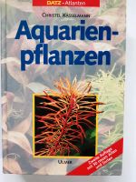 Aquarienpflanzen Rheinland-Pfalz - Wirges   Vorschau