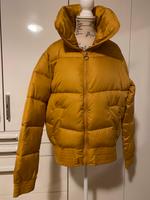 Hollister Jacke Senf gelb bomberjacke winter 40/L Hessen - Kassel Vorschau