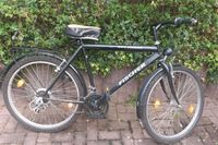 Fischer Herrenrad 26 Zoll Hessen - Limeshain Vorschau