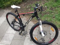 MTB Centurion backfire 600.29 29 Zoll München - Untergiesing-Harlaching Vorschau