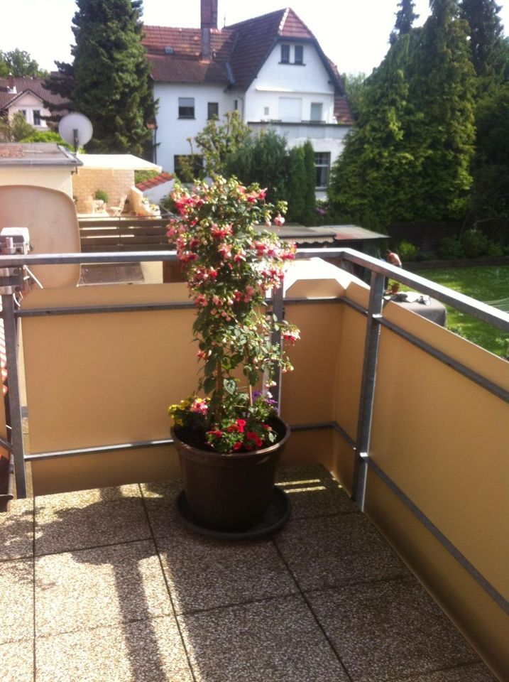4ZKB-Wohnung mit großem Balkon in Löhne, nähe Bad Oeynhausen in Löhne