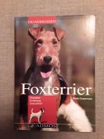 Foxterrier Bayern - Pleinfeld Vorschau