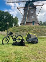 Zu vermieten verleihen Croozer Dog Jokke XL Hundeanhänger Fahrrad Nordrhein-Westfalen - Marienheide Vorschau