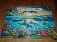 Delphine - 1000 Teile Innovakids Puzzle - 70 x 50 cm - NEU - OVP Schleswig-Holstein - Laboe Vorschau