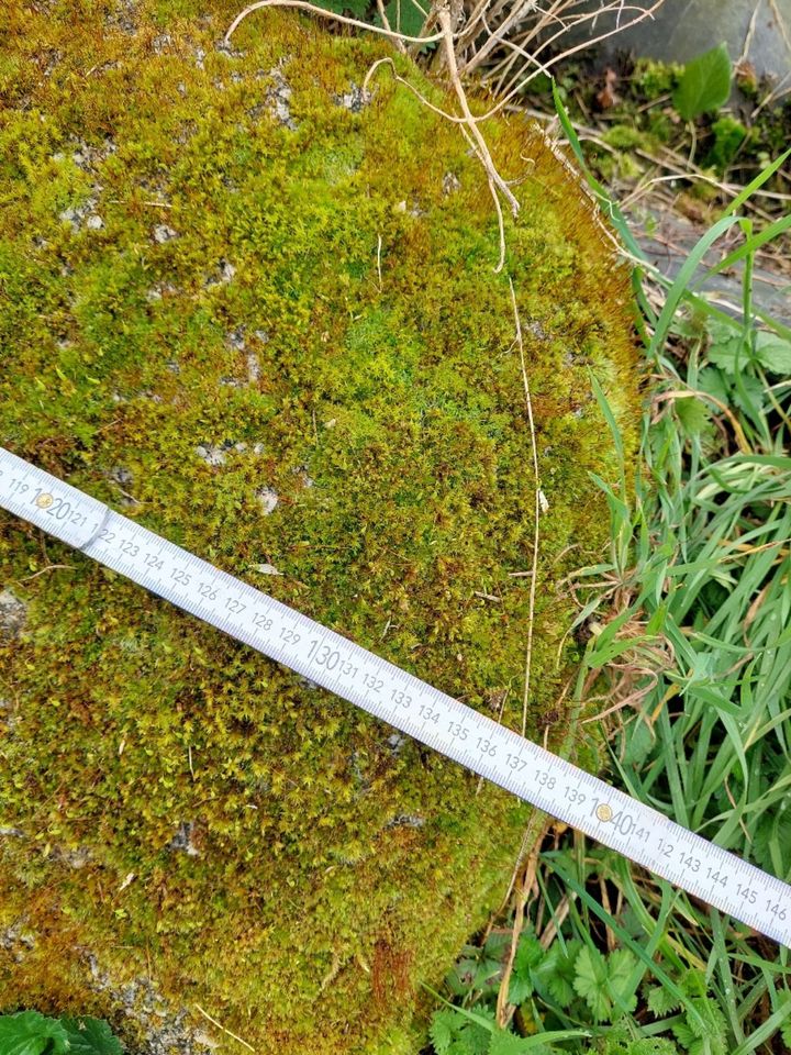 Granitsteine, teilweise behauen in Hemsbach