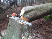 Baumfällung gegen Brennholz. Nordrhein-Westfalen - Bergneustadt Vorschau