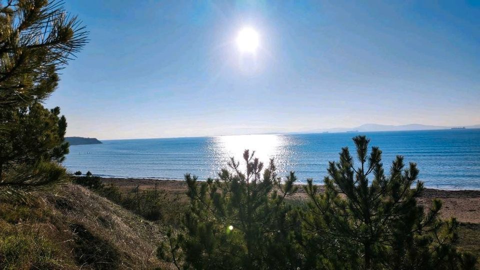 Eigene Ferienwohnung am Meer, Burgas Sarafowo Bulgarien in Erfurt