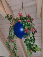 Xxl Blumenampel Blumentopf zum hängen blau *TOP Baden-Württemberg - Riedlingen Vorschau