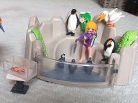 Playmobil Zoo Pinguingehege und Verkaufsstand Pankow - Prenzlauer Berg Vorschau