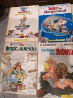 11 Asterix Comics Rheinland-Pfalz - Miehlen Vorschau