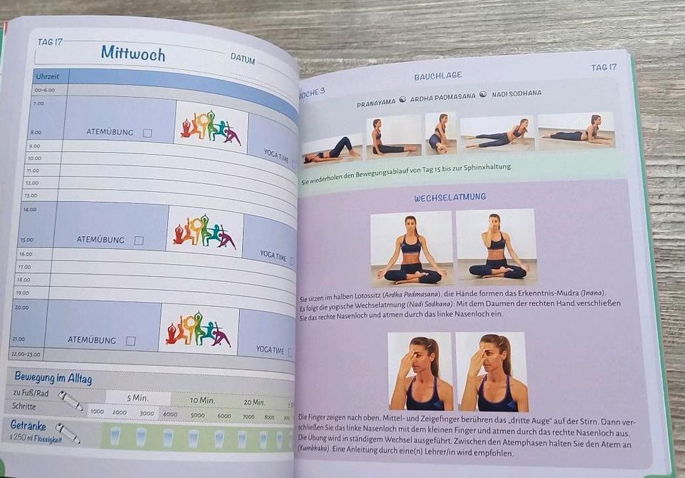 Yoga Buch und DVD Anfänger Rücken in Eggesin