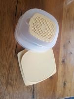 Käsehaube von Tupperware, Tupperware, Käse Baden-Württemberg - Hochdorf (Riß) Vorschau