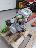 BMW F800ST Motor - defekt Niedersachsen - Walsrode Vorschau