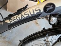 Pegasus Fahrrad Dithmarschen - Nordhastedt Vorschau