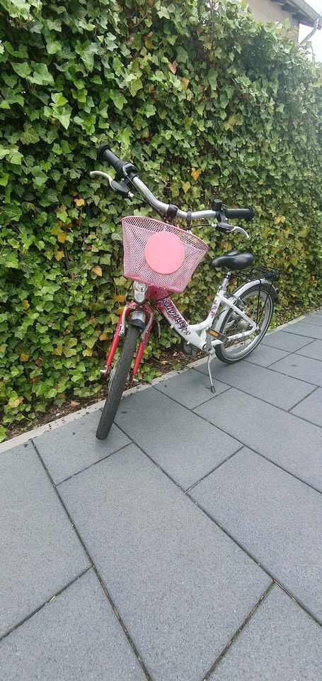 Puky Skyride 20“ Pink / Weiß mit Gangschaltung Kinder Fahrrad in Bensheim