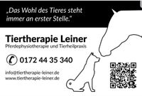 Bioresonanztherapie für Pferde Hessen - Guxhagen Vorschau