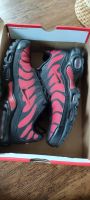 Nike Air max Plus (Nike Tn) Brandenburg - Nuthetal Vorschau