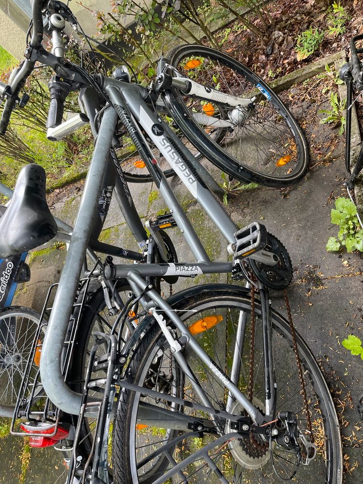 fahrrad pegasus in Hannover