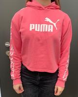 pinker Puma Kapuzenpullover Nordrhein-Westfalen - Ahlen Vorschau