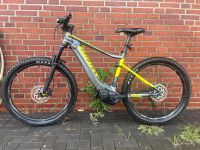 Pedelac Giant Fathom E+2 Nordrhein-Westfalen - Borken Vorschau