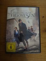 Film Phantastische Tierwesen und wo sie zu finden sind DVD Brandenburg - Werder (Havel) Vorschau