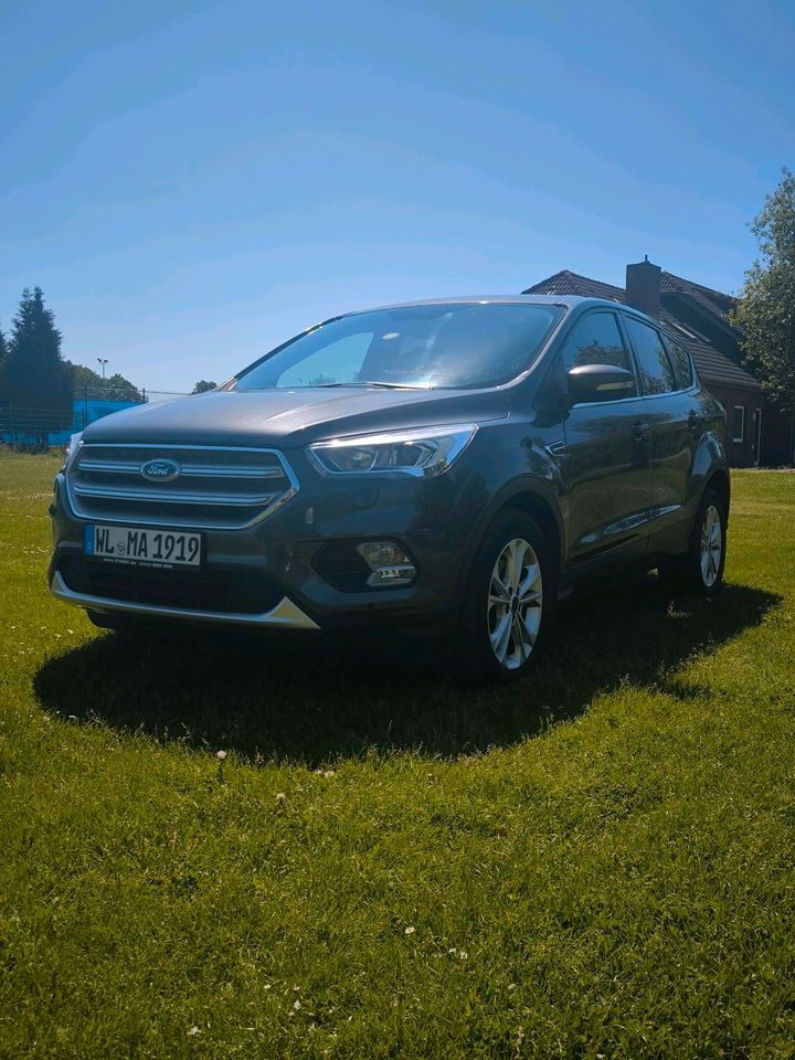 Ford Kuga 1.5 Ecoboost Allrad in Winsen (Luhe)