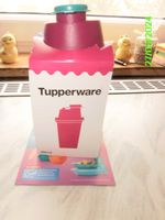 Tupperware Kleiner Shaker- Mix Fix, 250ml, rosa+grün, Neu in Ovp Hessen - Butzbach Vorschau