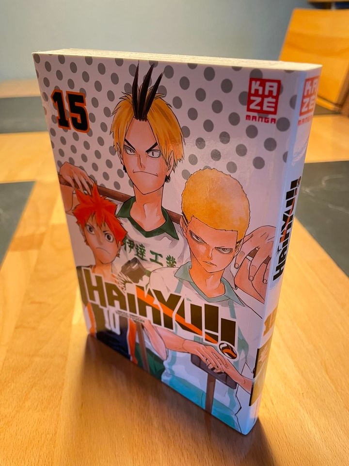 Haikyu Manga Teil 15 (Comic) in Grünheide (Mark)