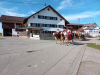 Urlaub auf dem Bauernhof/Ferienwohnung bis 8 Per. Bayern - Lengenwang Vorschau
