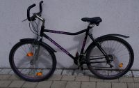 Mountainbike 26 Zoll Vector Haro Fahrrad Bahnhof Nürnberg (Mittelfr) - Großreuth b Schweinau Vorschau