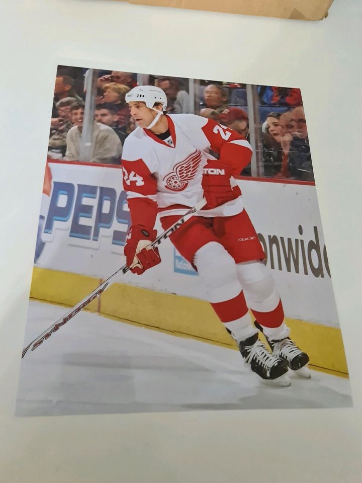 Detroit Red Wings - verschiedene 20x25cm 8x10 Fotos NHL Eishockey in Bremen