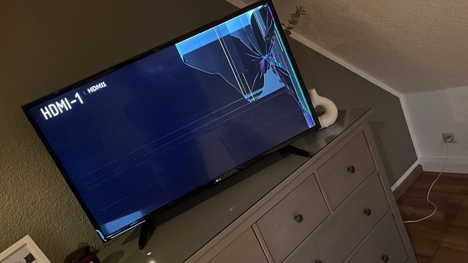 LG TV defekt in Spergau