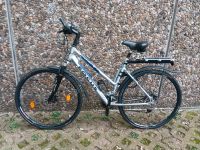 ,Trekking Fahrrad Shimano XT Schaltung Marke Focus Köln - Zollstock Vorschau